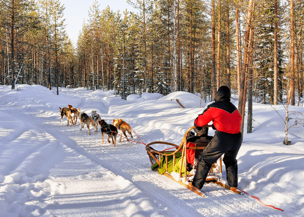 Family in husky sledge in Lapland Finland