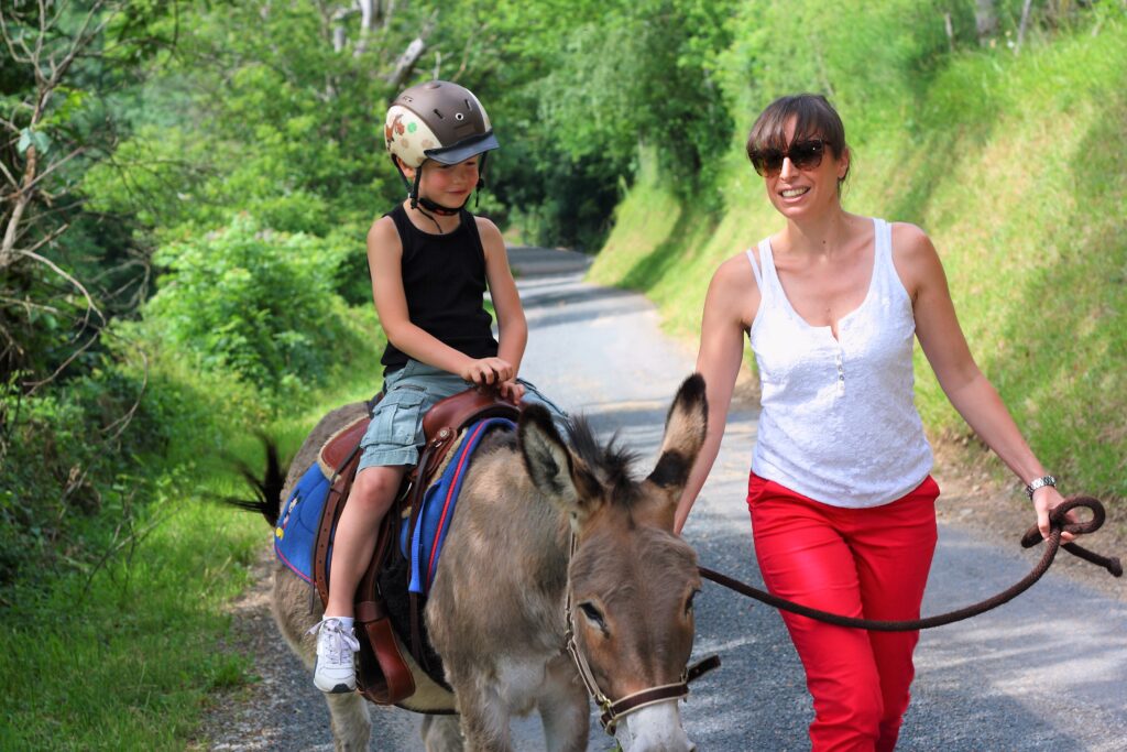 mum boy and donkey